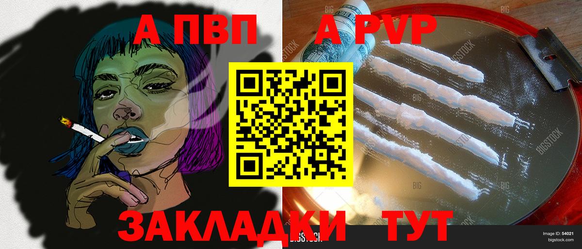 Альфа ПВП СК КРИС Кингисепп