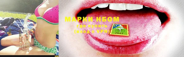 гидропоника Алзамай