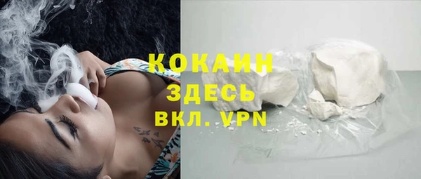 кокс Алексин