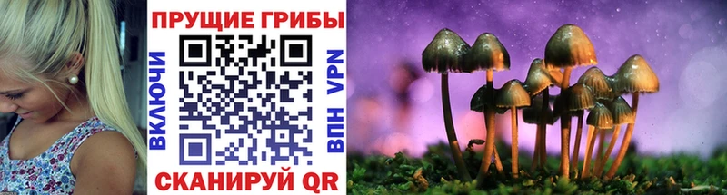 Псилоцибиновые грибы прущие грибы Кингисепп
