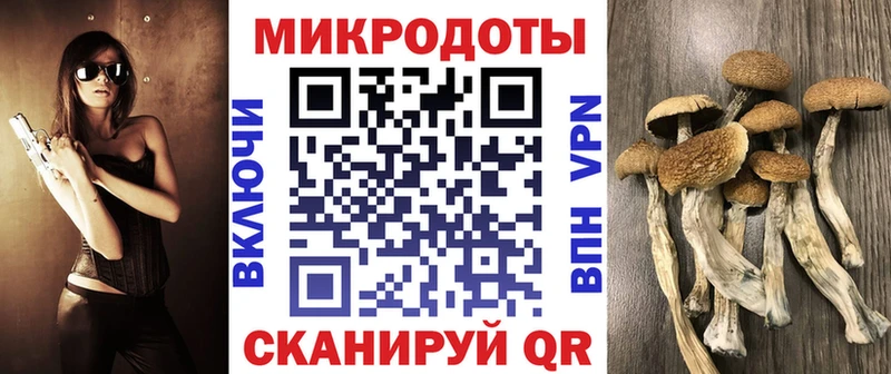 Галлюциногенные грибы MAGIC MUSHROOMS  Кингисепп 